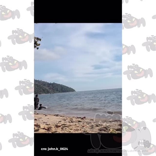 Mèo Tom on Instagram: "I have a bad day ✨"