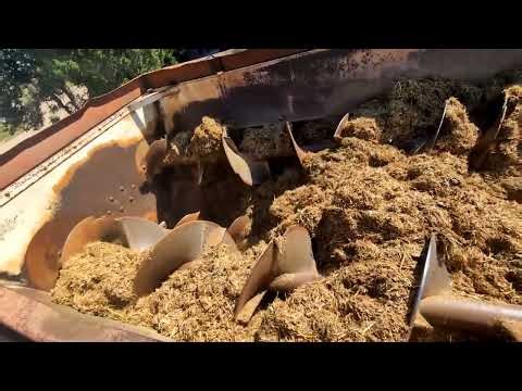 1979 FORD F600 For Sale