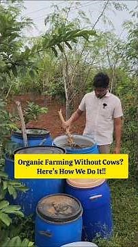 How to do organic farming without cows? Organic farming without cows? here's how we do.