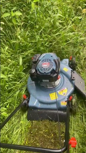 Senix mower cutting wet grass test 2025