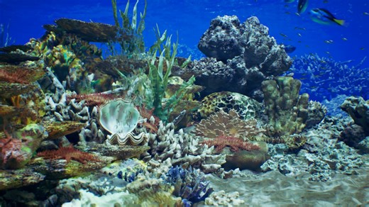 Ever wondered what it's like to explore the ocean floor? We've crafted a stunning virtual underwater world rich in detail, color, and life. Here's a first look at how we built it and how it's brought to life. Coming soon: "Coral Reefs Whisper" – a four-episode special launching on World Reef Day, June 1. Join CGTN as we explore why coral reefs matter, what threatens them, and how we can protect them together. | CGTN