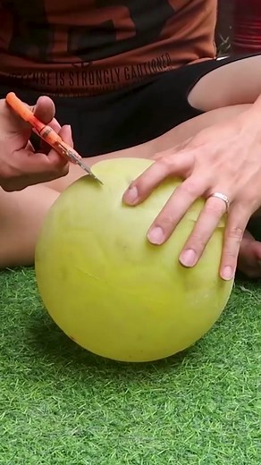 DIY Stunning Flower Pots From Plastic Bottles And Plastic Balls 🌺🌺 #diy #fypシ #fyp #fypage #gardening #foryoupage #viral #viral