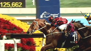 207K views · 2.9K reactions | The greatest show on Turf  Will the brilliant yet unpredictable Time Warp emulate the magic of 2017? | ESPN Asia | Facebook