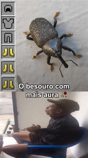 besouro do minecraft