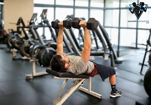 Exercice pour pectoraux avec banc : Quel est le plus efficace ? - Machinemusculation.com