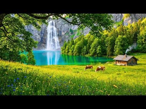 Instant Calm for Tired Mind ✨ Soft Piano Music with Beautiful Nature to Melt Away Stress