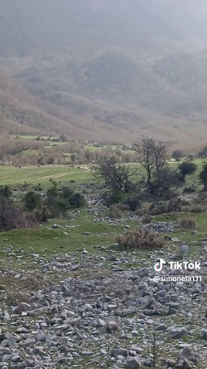 #🇦🇱♥️🦅 #NATYRE #Muzik Shqipe folklorike #🇦🇱♥️🦅 #