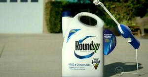 Judge says Roundup weed killer can be labeled with cancer warning