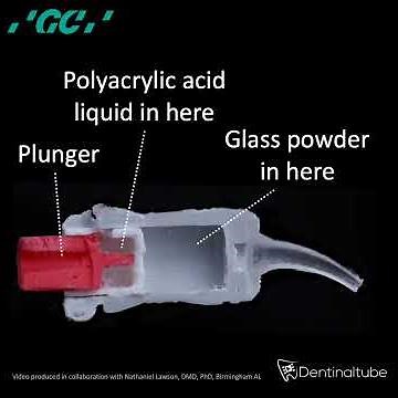 Inside a GC Glass Ionomer Capsule