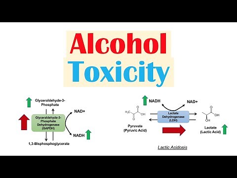 Alcohol Toxicity | Toxic Effects of Ethanol on Liver Metabolism (Metabolic Consequences)