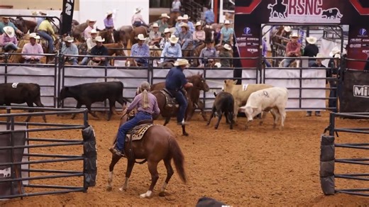 57K views · 576 reactions | Experience, partnership, and great horses...