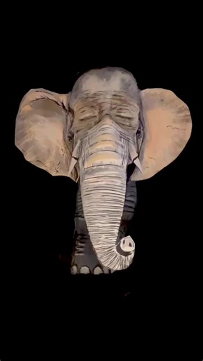 Make-up artistique éléphant 🐘 inspiration @MaryKate Hardy produits : @NYX COSMETICS FRANCE @NYX Professional Makeup @KryolanOfficial @Erborian France @ErborianUSA @Huda Beauty @SuperStar Croatia #makeup #makeupartist #elephants #elephant #elephantmakeup