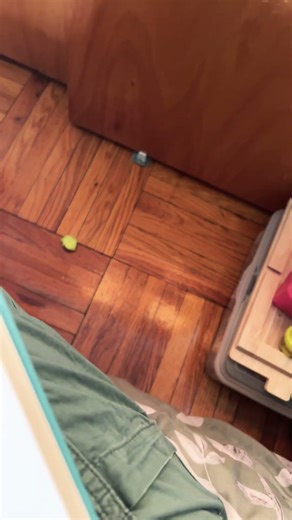 Meet FLIPPY #fursona #art #artartist #artist #meow #rawr #flippy #cat