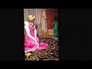 Disney World Aurora