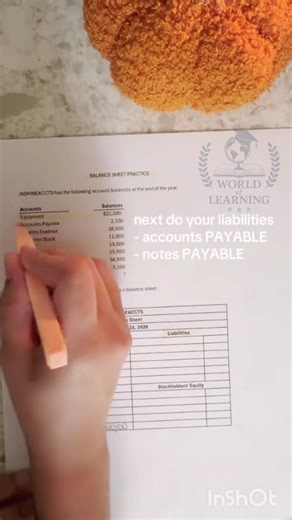 4.1K views · 74 reactions | Financial Accounting Balance Sheet #fblifestyle #accounting #finance #BalanceSheetBasics | World of Learning | Facebook