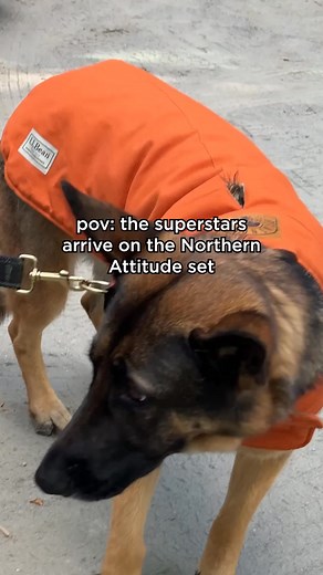 162K views | Who wore it best? Shop the collection at www.llbean.com/northernattitude | L.L.Bean | Facebook