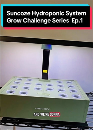 Grow Fresh Herbs Indoors with SUNCOZE Hydroponic Kit