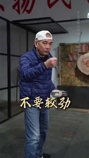 Title: Build Strong Foundations for Skill Mastery: A Journey to Success