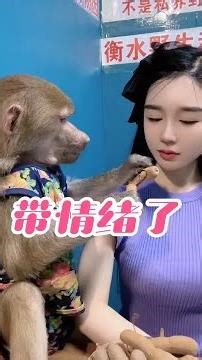 #是时候展现真正的技术了 #猴子成精 #逗你一笑😃烦恼忘掉 多少带点情绪