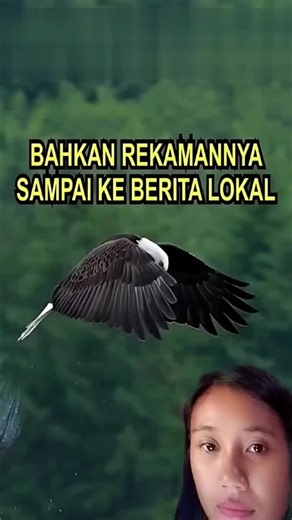 Bald Eagle in Majestic Flight Over Water