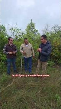 Matorral Submontano De N.L #viverosregionales #adriancavazoscavazos #loscavazzos #polinizadores