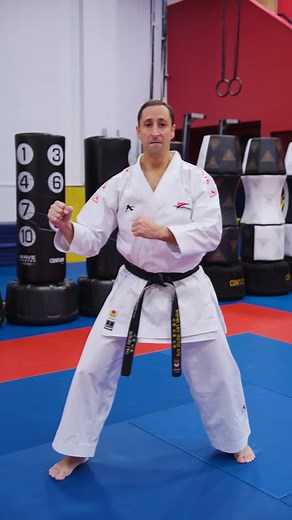 Fancy kicking combination all karate students need to train! #jiujitsutips #martialarts #combatsports | Warren Levi Martial Arts & Fitness