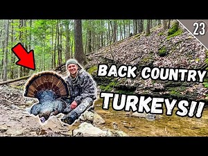 Turkey Hunting in the BACK COUNTRY!!! (Alabama Public Land Gobbler)