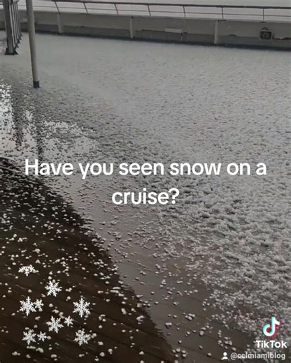 15K views · 336 reactions | Carnival Cruise FUN on Reels | Facebook