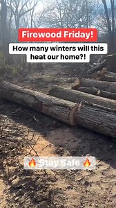 Firewood Friday! Let’s see your firewood piles! #logging #loggers #liveedge #wholesale #lumber #slabs #wood #woods #skidder #forwarder #firewood #timber #sawmill #mill #deere #hauling #veneer #whiskey #stave #barrel #machine Old School Logging | Midwest Forestry LLC & Walnut Buyers