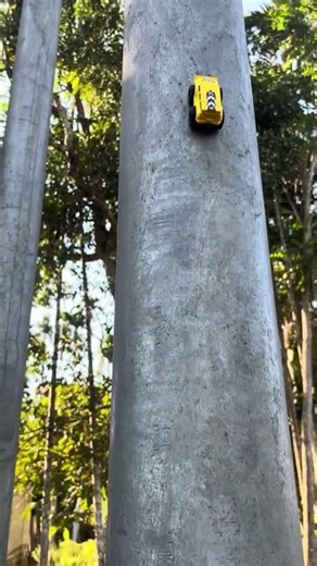 Powerful RC mini toy car racing high speed 😱 #shortsfeed #rccars