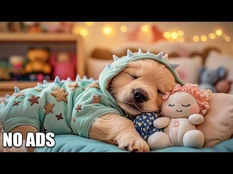 12 Hours of Dog Calming Music🐶💖Anti Separation Anxiety Relief🎵💖 Deep Sleep Music💖No Ads
