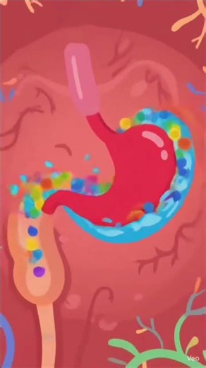 🫀 Inside the Human Body: Digestive System Explained 🍽️? #animation #youtubeshorts #diet #digestion