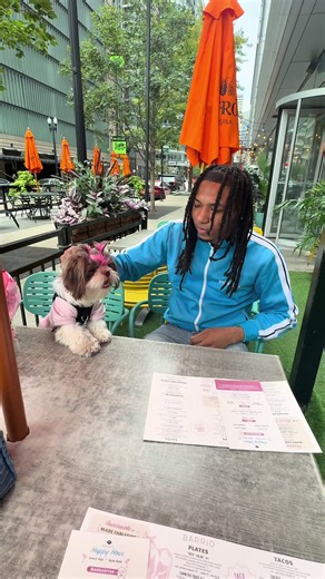 Come with us to Barrio #barriochicago #restaurant #restrauntforpuppies #tiktok #fyp
