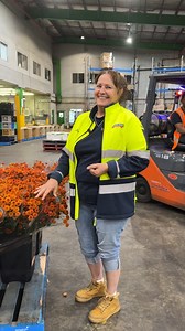 We caught up with our Flower and Plant Buyer (and incredible mum to three!) Leanne who works through the night with her hardworking Flower Team to bring us our bouquets ahead of Mother's Day and all year round 🌹🌸 We have many Mother's Day Bouquets available but also plenty of chrysanthemum's - our Mother's Day flower in many colours and styles, which Leanne shows us here. | Harris Farm Markets