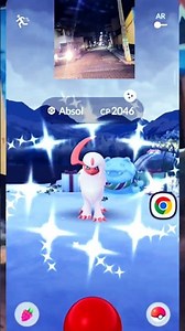 INCRÍVEL! Absol Shiny Inesperado! (AbLua) Pokémon GO Gameplay