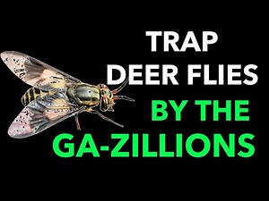 Deer Fly Control - Kill deer flies while you are away - DIY Deer Fly Trap