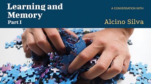 Learning and Memory, Part I - A conversation with Alcino Silva, UCLA
