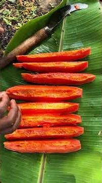 సహజంగా పండిన బొప్పాయి రంగు ఇలా ఉంటుంది | Natural Papaya Color | Health Tips #shortsfeed