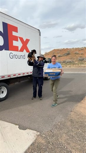 32 reactions | Sound up for the music! You know the @fedex man spreads happiness when he shows up to the shelter with @chewy donations! Thank you to the PAWsome humans for our Chewy Doooonnnaaations! You make our day!! Oh and the FedEx guy was more than happy to take a boomerang with us!  | Page Animal Adoption Agency | Facebook