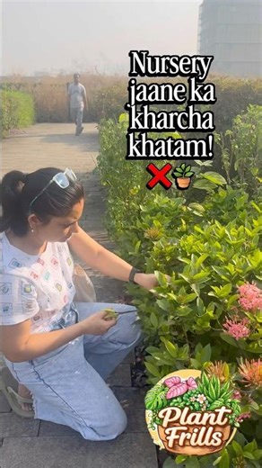 Day 21/30 and we are keeping it COLORFUL | Ixora Plant 🌼🌸 #plantfrills #30days30plants #ixora