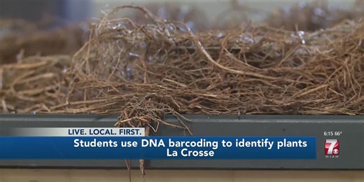 UW-La Crosse students use DNA barcoding to identify plants