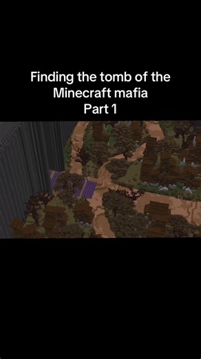 ParrotX2#fyp #minecraft #viralvideos