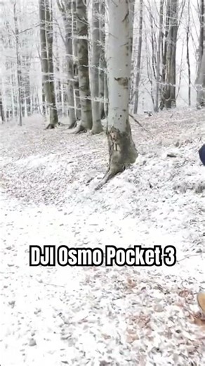 Pocket 2 vs Osmo Pocket 3 | which shot is better?