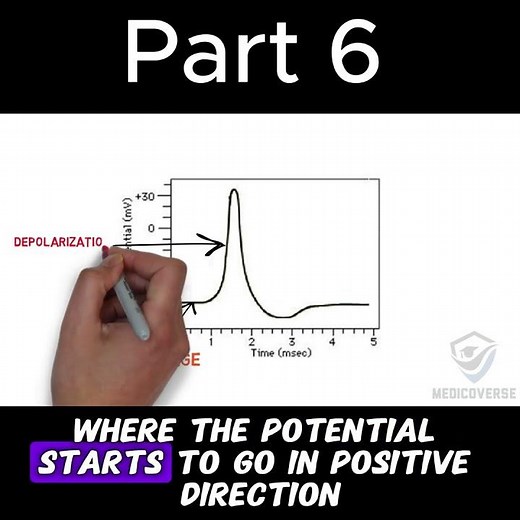 Nerve Cells Are Actually Insane | Part 6 #biology #anatomy #doctor #mbbs