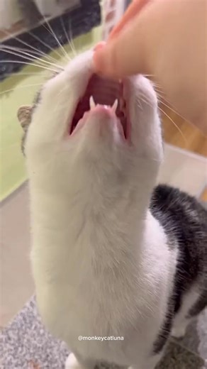 Crunching your bad day away | Family's all