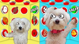 109K views · 1.9K reactions | Mi cachorro Mimi y mi perro Dasha se...