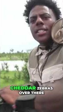 Safari Adventure Hippos, Zebras, and Giraffes!