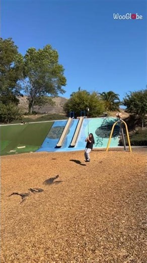 Zipline Fail: Girl's Unexpected Fall at Local Park || WooGlobe