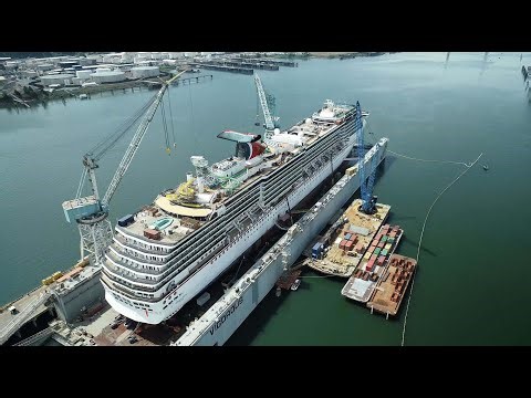 Vigor Marine Group, A Cruise Industry Partner