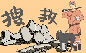 汶川地震12年：搜救犬知识你知道多少？致敬救出15个人的搜救犬，